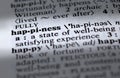 Happiness Defined Text Word in Dictionary Royalty Free Stock Photo