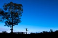 Happiness,Freedom,Silhouette,landscape