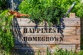 Happiness is homegrown stencil on raised garden bed