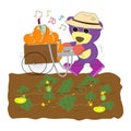 Mr.Purple bear after harvest the pumpkins finished