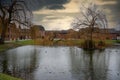 Happiness in misfortune, tree fell into village pond Royalty Free Stock Photo