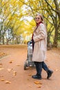 Happiness mom with a baby stroller walks in the autumn park. Royalty Free Stock Photo