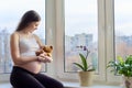 Pregnant young happy woman with toy teddy bear, at home near window Royalty Free Stock Photo