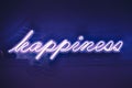 Happiness Neon Sign Light signage Type Decoration