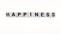 happiness word built with white cubes and black letters on white background