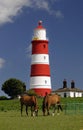 Happisburgh