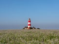 Happisburgh Lighthouse in warm sunlight.