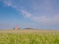 Happisburgh Lighthouse in warm sunlight. Royalty Free Stock Photo