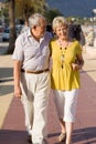 Happy active seniors Royalty Free Stock Photo