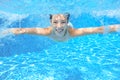 Happy active underwater child swims in pool Royalty Free Stock Photo