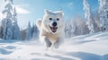 A happy, active, white, cheerful dog runs through the snow overlooking a snowy landscape of forest and mountains.