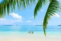 Happy adult couple having fun in turquoise water wearing snorkeling mask. Real people bathing in caribbean sea on tropical beach, Royalty Free Stock Photo