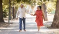 Happy affectionate mature african american couple walking and holding hands outside at the park during summer. In love Royalty Free Stock Photo