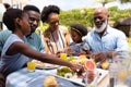 Happy african american family eating brunch at dining table in backyard Royalty Free Stock Photo