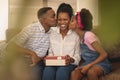 Happy African American father and daughter kissing mother on cheeks Royalty Free Stock Photo