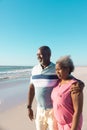 Happy african american senior couple looking at beautiful seascape under clear blue sky on sunny day Royalty Free Stock Photo