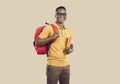 Happy African American student with books and backpack standing on beige studio background Royalty Free Stock Photo