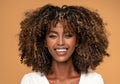 Fashionable african woman with afro hair Royalty Free Stock Photo