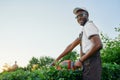 Happy african man trimming bushes with gas powered clipper Royalty Free Stock Photo