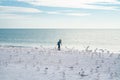 Happy amazed kid running, chasing birds. Child run on the seagulls on the beach, summer time. Cute little boy chasing Royalty Free Stock Photo