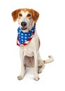 Happy American Patriotic Dog Sitting Royalty Free Stock Photo