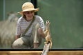 Happy animal lover teenager girl looking at funny Meerkat mongoose