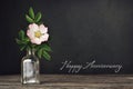 Happy Anniversary card. Dog rose in vase on dark grunge background