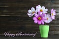 Happy Anniversary card with flowers in the vase Royalty Free Stock Photo