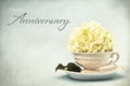 Happy Anniversary card. Snowball flower in vintage tea cup Royalty Free Stock Photo
