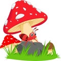 Happy ant cartoon with red mushroom Royalty Free Stock Photo