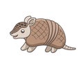 Happy armadillo cartoon vector illustration