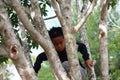 Happy Asian Boy Climbing Tree in the Park Royalty Free Stock Photo