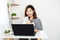 Happy Asian business woman work from home office sitting at desk with cat using laptop Royalty Free Stock Photo