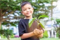 Hands Asian child boy holding a little green plant with soil. Growing tree. Royalty Free Stock Photo