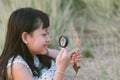 Asian child girl exploring nature with magnifying glass Royalty Free Stock Photo