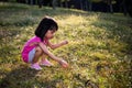 Happy Asian Chinese Little Girl Picking Wild Flowers Royalty Free Stock Photo