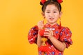 Happy Asian Chinese little girl smile wearing red cheongsam qipao holding silk lanterns Royalty Free Stock Photo