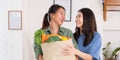 Happy asian couple lesbian holding vegetable bag looing at camera after shopping at grocery store at home.LGBTQ lifestyle concept