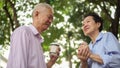 Happy Asian elderly couple morning walk in green city Royalty Free Stock Photo