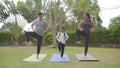 Happy asian family playing with children doing yoga exercises on grass in the park at the day time. Royalty Free Stock Photo