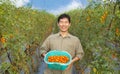 Happy asian farmer holding tomato