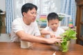 Happy Asian father and son having fun cutting a piece of a plant, Introduce scissor skills for children, Homeschooling, home