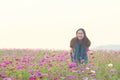 Happy asian girl in casual dress smile and standing in cosmos flower field in vintage picture style Royalty Free Stock Photo