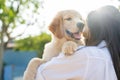 Happy Asian girl receives an adorable puppy, plays and hugs her four-legged friend lovingly