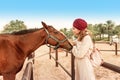 Asian girl in turban touching and petting cute arabian horse. Hobby and friendship between animal and human concept