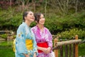 Happy asian girls sightseeing cherry blossom Royalty Free Stock Photo