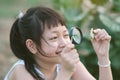 Happy asian little child girl looking through a magnifying glass on green leaf tree in the park Royalty Free Stock Photo