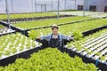 Happy Asian local farmer growing their own salad lettuce in the greenhouse using hydroponics water system in organic approach for