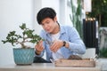 Happy asian man using pruning shears trimming wood branches bonsai tree. Hobbies, leisure, home gardening concept Royalty Free Stock Photo