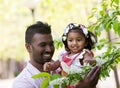 A happy Asian man is walking with his daughter in park at blooming tree Royalty Free Stock Photo